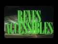 Dumb  rves accessibles clip officiel