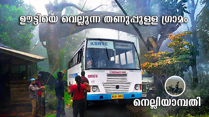 Nelliyampathy | ഊട്ടിയെ വെല്ലുന്ന  ഗ്രാമം | Nelliyampathy tourist places | ksrtc bus trip | Free20