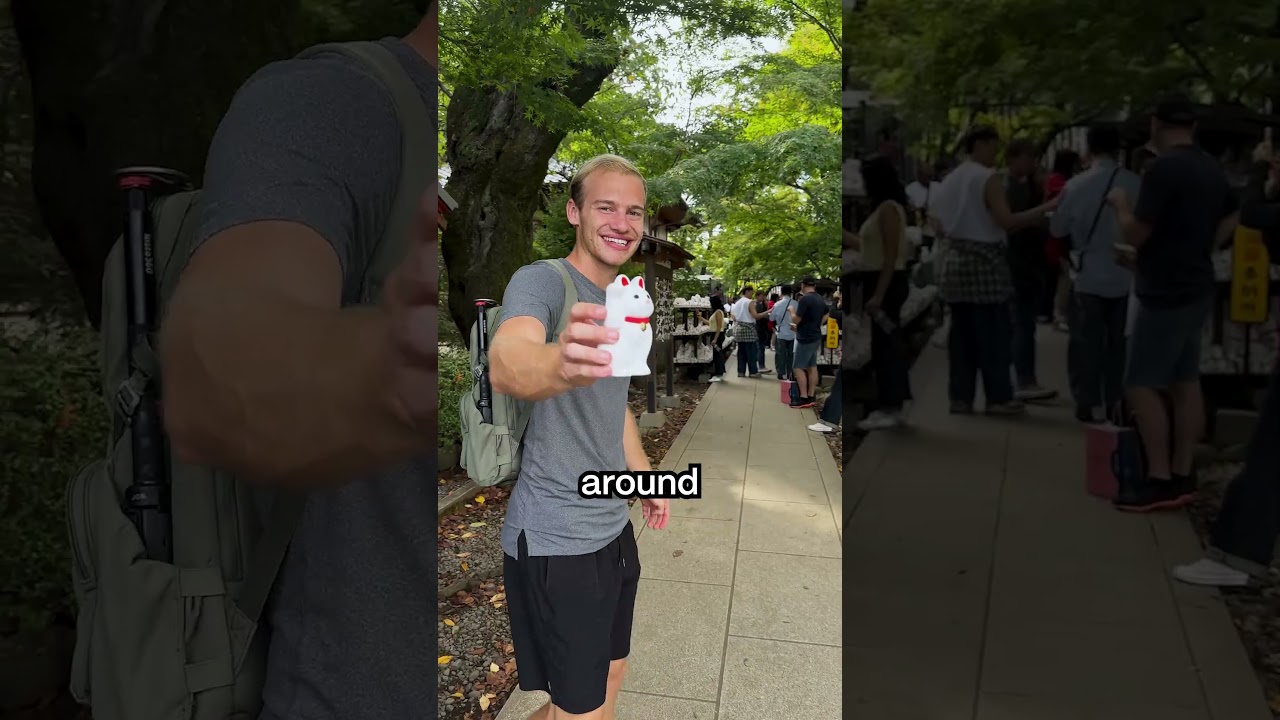 Почему эти кошки повсюду в азиатских ресторанах 😻