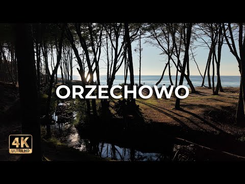 Orzechowo z drona