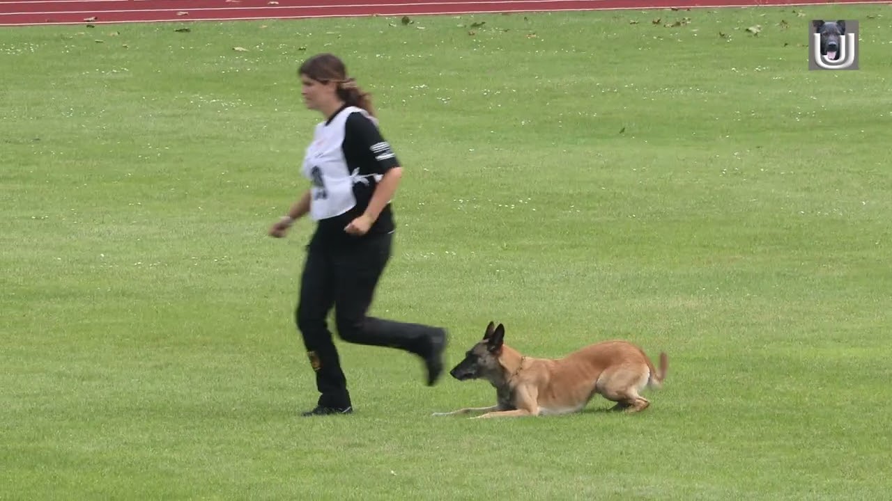 Stephanie Ollmann mit der Malinois Hündin  Fire vom schnellen Falken in der Unterordnung für den DMC