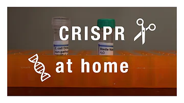 Jaký je potenciál využití CRISPR?