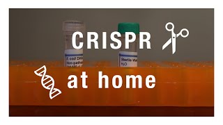 : Experimenting with CRISPR Cas-9 at Home