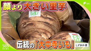 Did the Numazu Imperial Villa Inspire Its Name? The "Daichuji Imo," a Taro Larger Than a Face #Sh...
