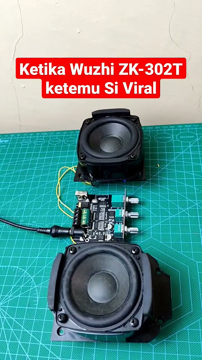 Ketika Whuzi ZK-302T Ketemu Si Viral #diybluetoothspeaker  #amplifier