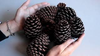DIY - Pine Cone Ideas 🌼 Easy Crafts 😍 Recycling Ideas 💕 Decoupage - Crafts and Recycling