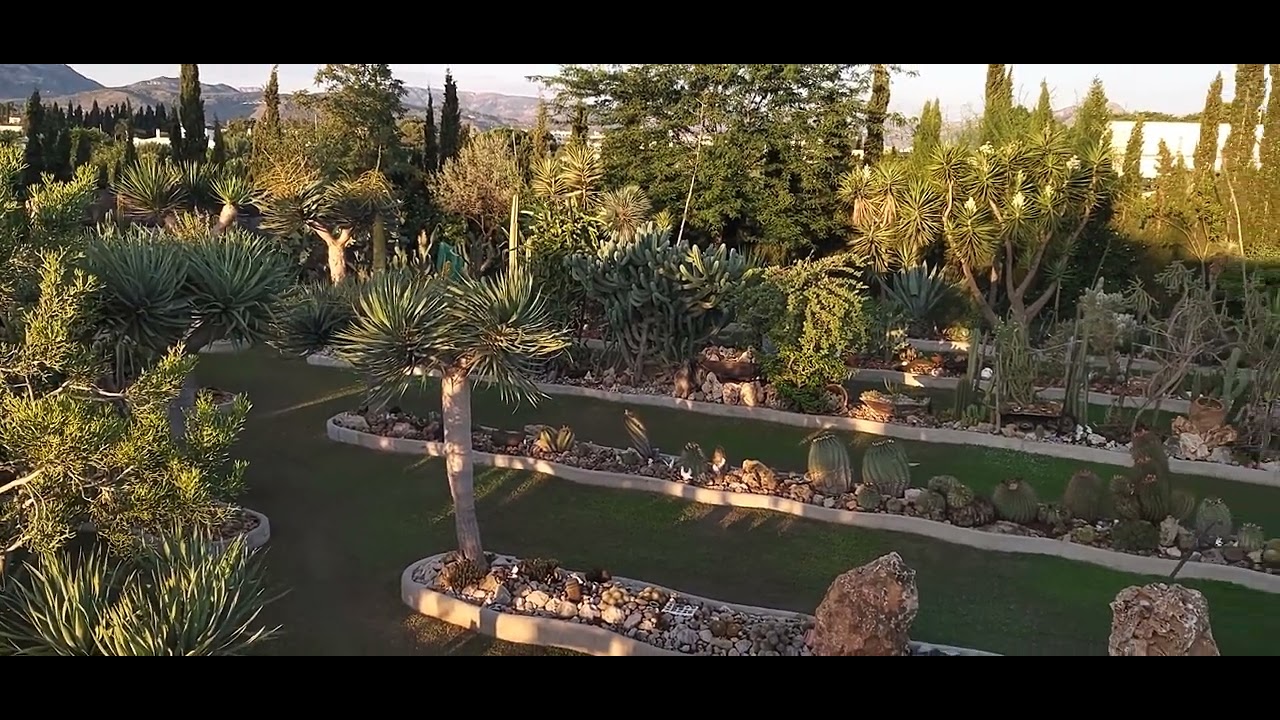Después de la tormenta | El Sueño Jardín Botánico. - YouTube