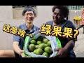 Fiji&#39;s special local fruit &quot;Fiji Wi&quot;, I have eaten for the first time! ‖ 斐济特色水果“薇”首吃！据说是酸沙梨果，又叫西洋橄榄？