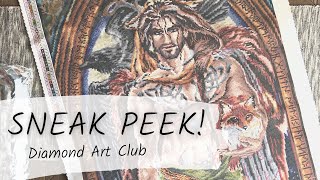 Diamond Art Club Sneak Peek: 