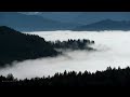 Nebel in Österreich