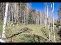 Homesite for sale at 5013 snowshoe lane vail colorado  listed by malia cox nobrega luxury agent