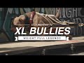 أساطير سحب الوزن XL BULLY