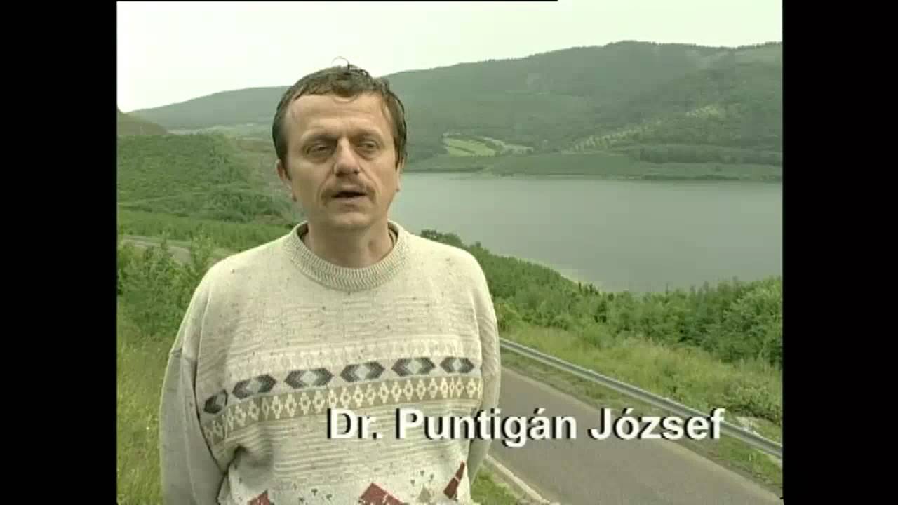 Kisfaludy András (2000): Az én folyóm - Az Ipoly