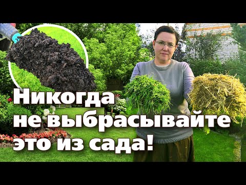 Video: Калдыктарды нөлгө бөлө турган батирде кантип компост жасоого болот