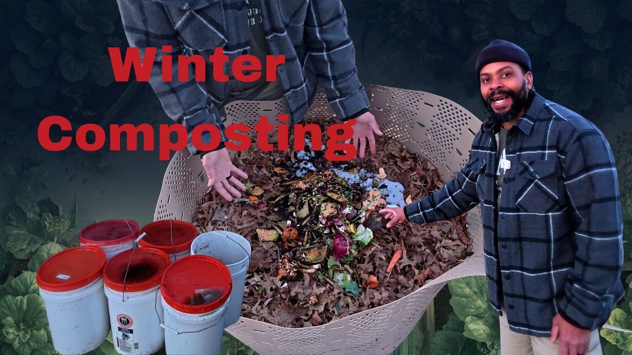 Winter Compost After record Snow Blizzard