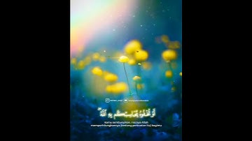 آيات من خواتيم سورة البقرة بصوت جميل جدا حالات واتس اب دينية قصيرة مؤثرة قرآن كريم تلاوة خاشعة انستا