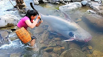 超危険巨大魚 アリゲーターガーを釣り上げた勇敢な男たち Alligator Gar Mp3