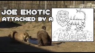 Liger - Joe Exotic attacked by Napoleon Dynamites Favorite Creature