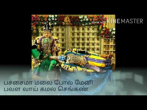 Pachai Ma Malai Pol Meni   Tamil subtitles