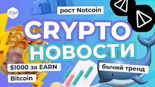 Бычий тренд на рынке. Рост Notcoin. 1000% за Earn BTC | Криптоновости EXMO.me