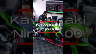 🔥 Top Speed Test — Kawasaki Ninja 300 | BMW G 310 GS | Yamaha MT‑03 #dynotest