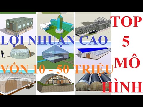 Top 5 mô hình chăn nuôi lợi nhuận cao vốn từ 10 - 50 triệu