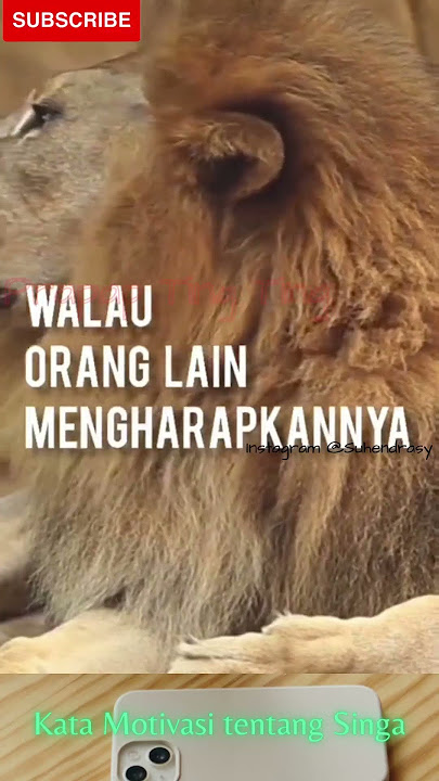 Kata Motivasi tentang Singa