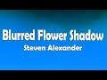 Blurred Flower Shadow - Steven Alexander