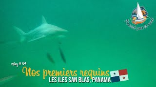 Vlog #64  ☆ Nos premiers requins sur les îles des San Blas