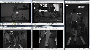 Quintic Software - Video Playback