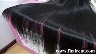 Fhaircut--longhair show