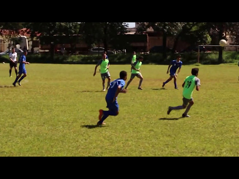 Vídeo: Campo Miosótis