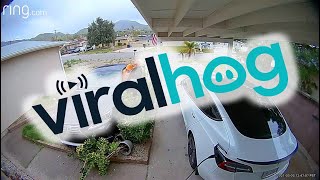 Delivery Driver's Runaway Lexus Rolls into Garden || ViralHog