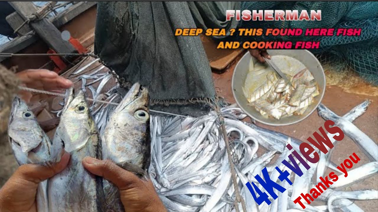 Ohh! We Traveled for long Day In Deep sea and Found Her ?  Fish !!  हमे किया मिला ? 