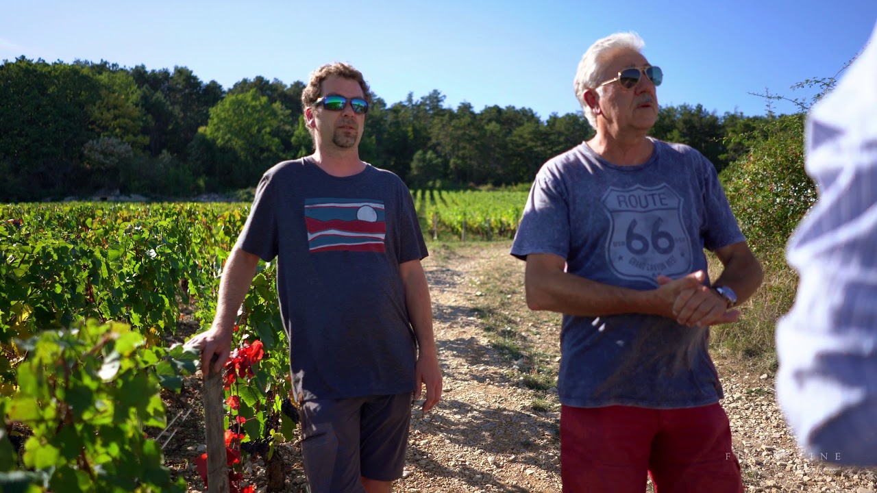 Domaine Harmand-Geoffroy | The Fine Wine Experience