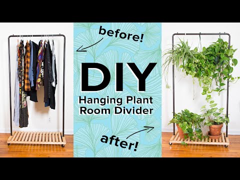 Video: Huisplant-muurverdeler-idees – hoe om 'n kamer met plante te verdeel