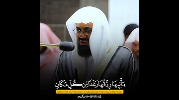تلاوة إبداعية تأخدك لعالم آخر للشيخ سعود الشريم من سورة النحل #سعود_الشريم #سعودالشريم