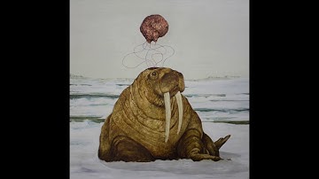 Tanya Tagaq - Snowblind