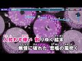 【カラオケ練習用】紅蓮華／LiSA｜[Videoke] Gurenge - LiSA
