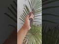 mehndi design ❣️#mehndidesign #mehndi #youtubeshort