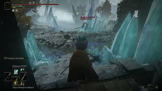 Funny Blaidd Fight - Elden Ring Cheese