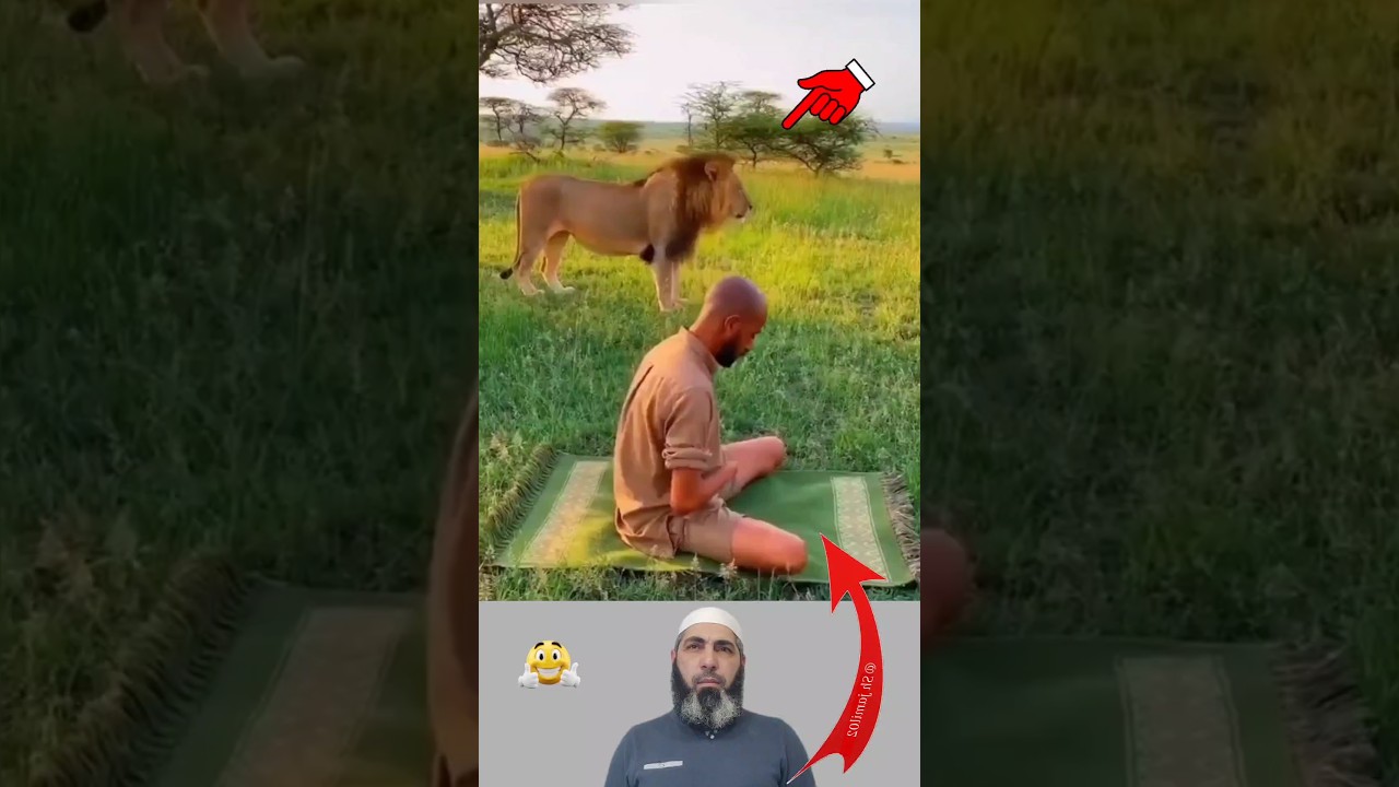 У вас нет оправдания, о вы, оставляющие молитву.🕋🧎❤️