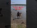 Unbelievable 3 big eell fish catching at a time  #fishing #fish #viralvideos #shorts