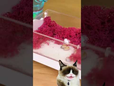 Tiny Aquarium for Cute Fish using Nano Tape🐠🐾 #cat #shorts