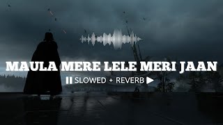 Maula Mere Lele Meri Jaan (Slowed   Reverb) || Krishna || Chak De! India 🎧