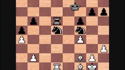 Magnus Carlsen vs Michael Adams, 2007 World Chess Cup