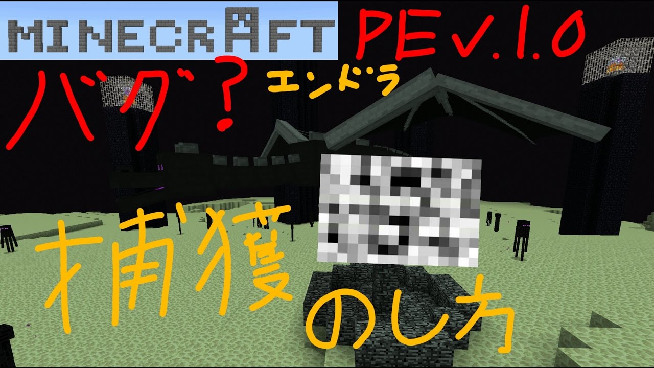 バグ マイクラpeでエンダードラゴン捕獲の仕方 チョー簡単minecraft Pe Endra Capturing Bugs Found Youtube