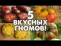 5 ВКУСНЫХ ТОМАТОВ ИЗ ПРОЕКТА &quot;ТОМАТНЫЙ ГНОМ&quot;!