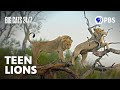 Colin and Nkone's Behavior Analysis