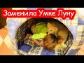 VLOG Алиса залезла в домик Умки